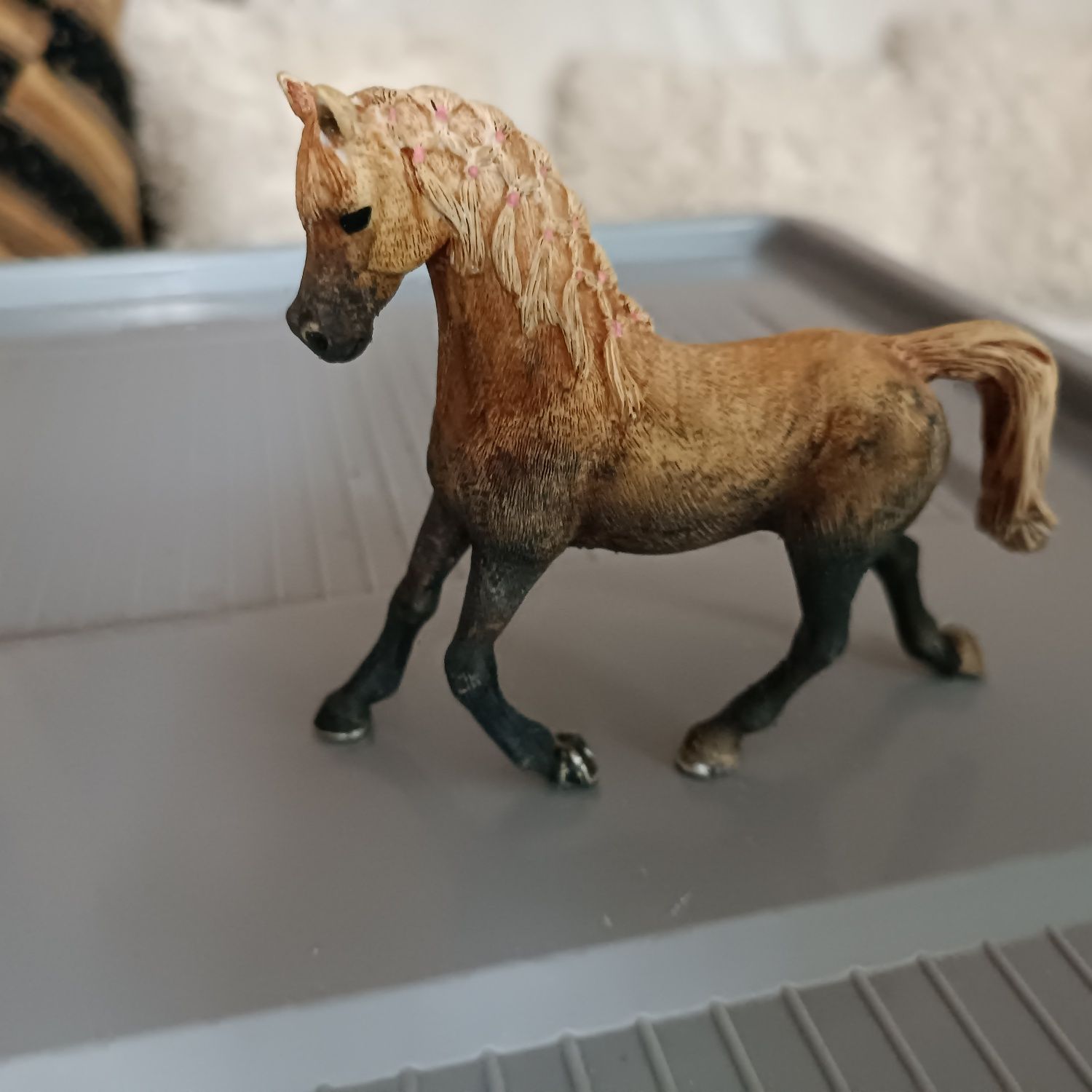 Custom konia arabskiego klacz