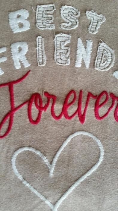 BEST FRIENDS| T-shirt manga comprida+Casaco Zara 8A
