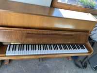 Pianino Legnica akustyczne
