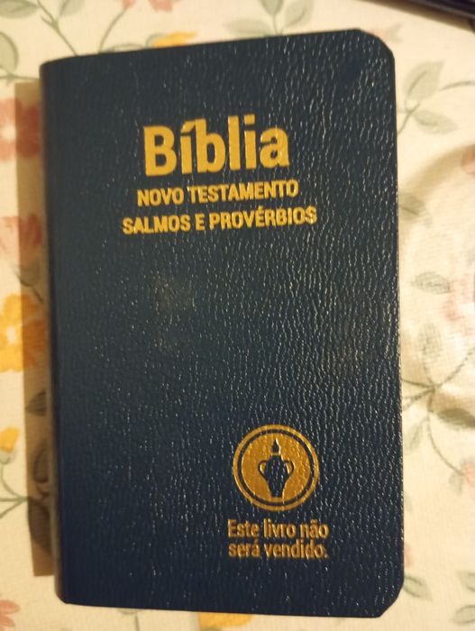 Bíblia novo testamento