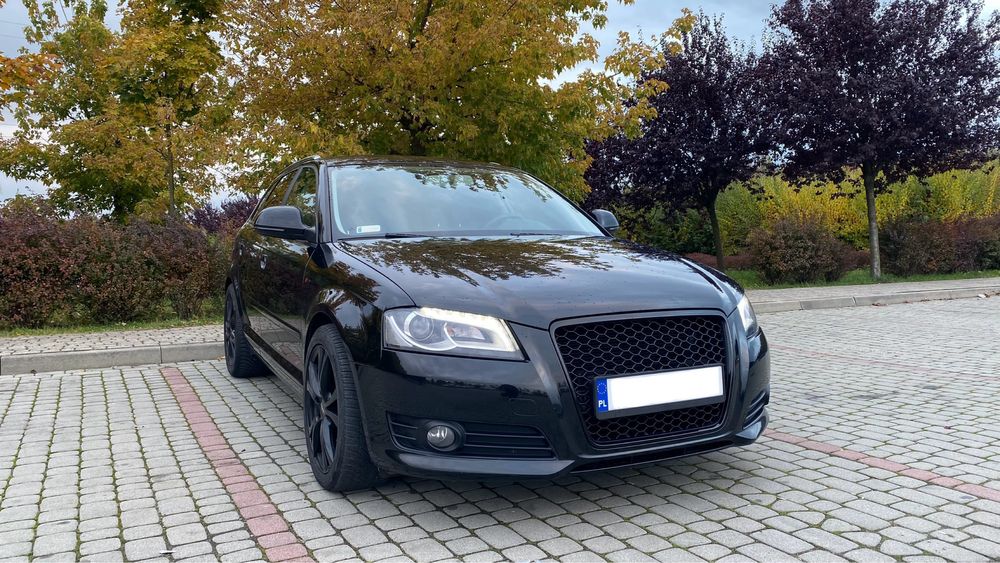 Audi A3 8P Lift 1.6 TDI