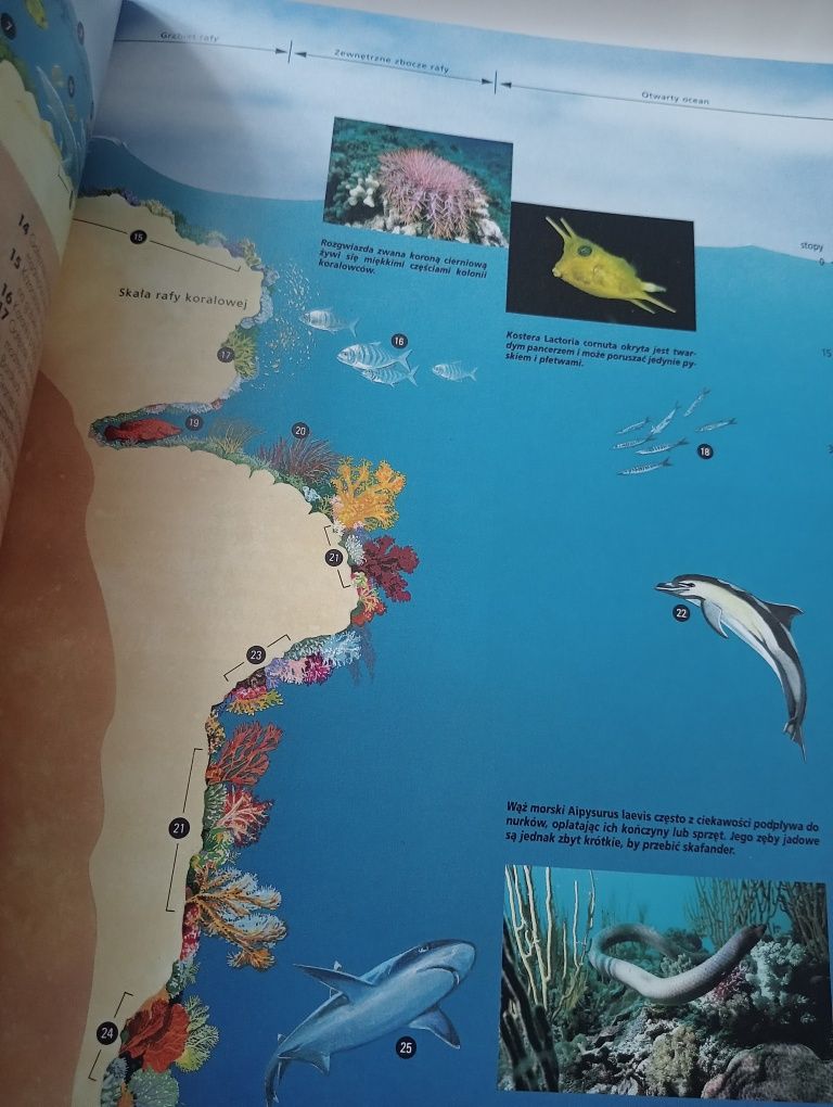 Niezwykłe miejsca niezwykłe krainy Reader's Digest