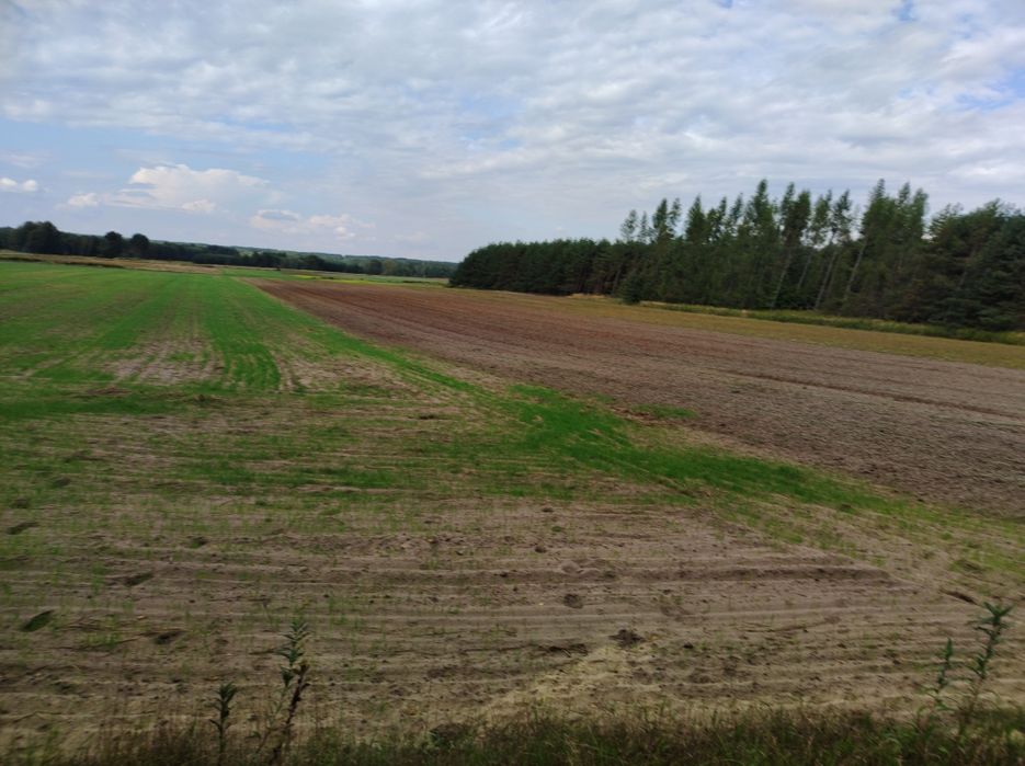 Dzialka rolna Wolka Łamana