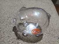 Porco mealheiro Olx
