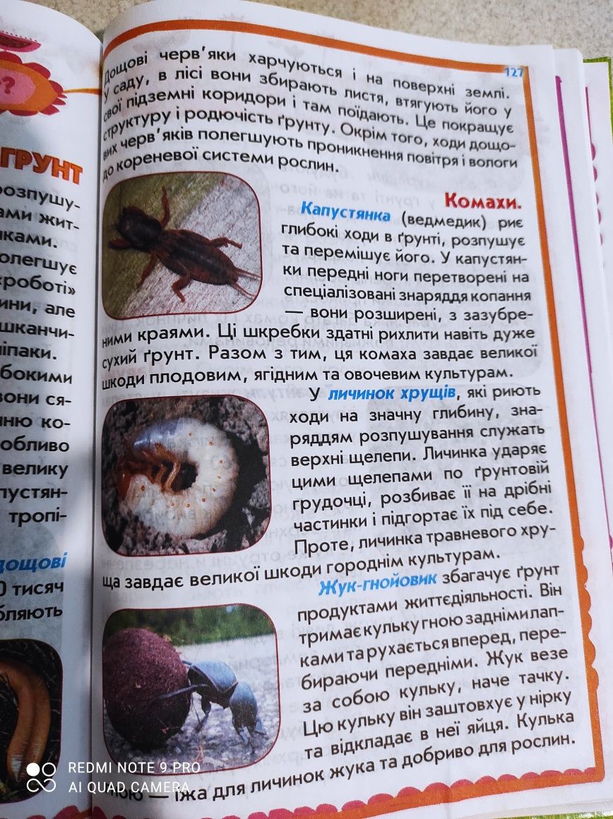 Природознавство для початкової школи