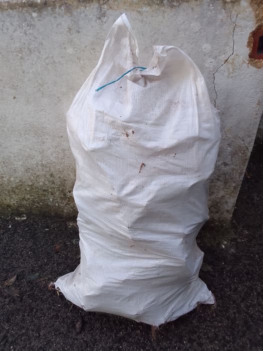 Saco pinhas para lareiras