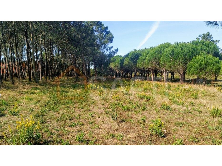 Terreno plano para construção