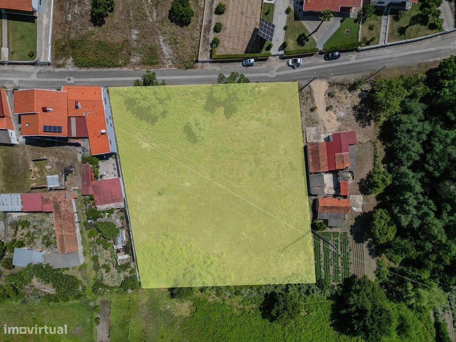 Terreno Rústico em Coimbra - Oportunidade Única por 50.000€