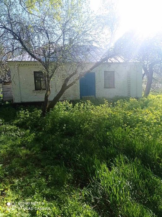 Продаж будинку в селі Волевачі