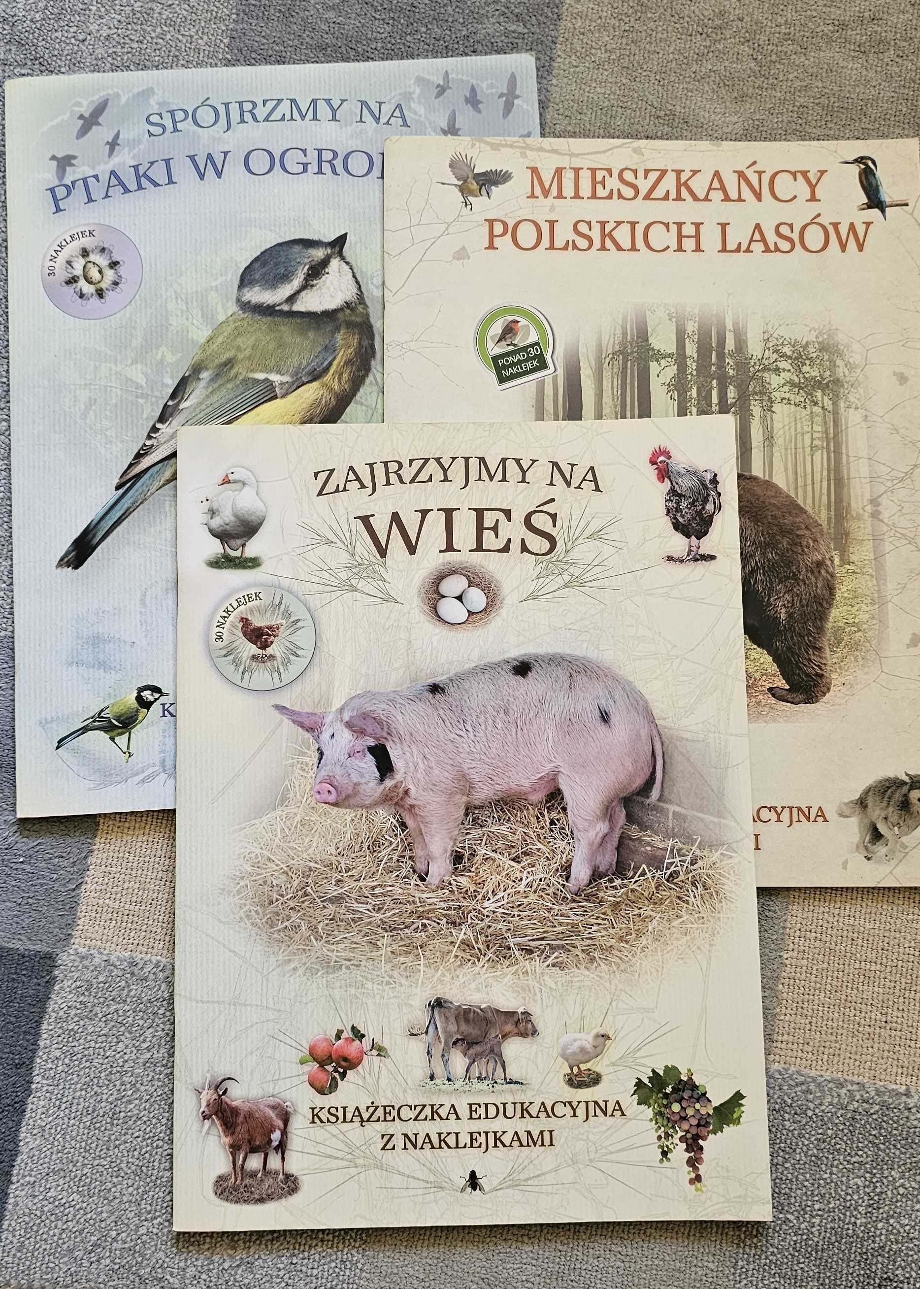 Trzy książki edukacyjne dla dzieci