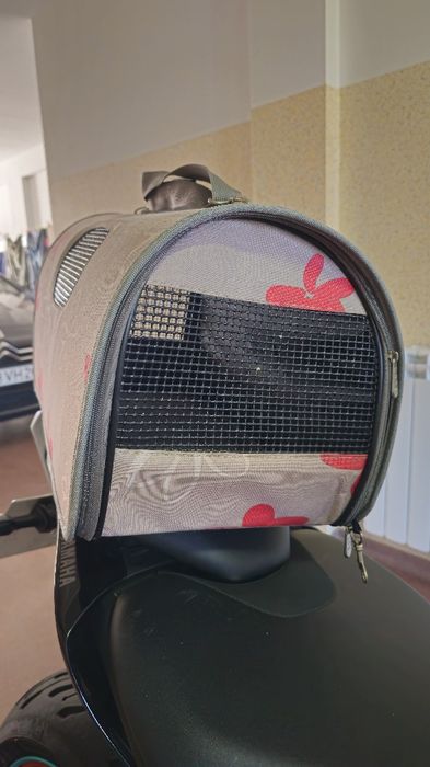 Casota transporte cão ou gato.