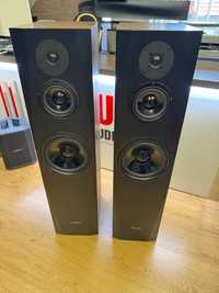 Pylon Audio Sapphire 31 (orzech)