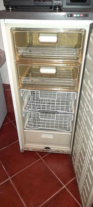 Arca congeladora
