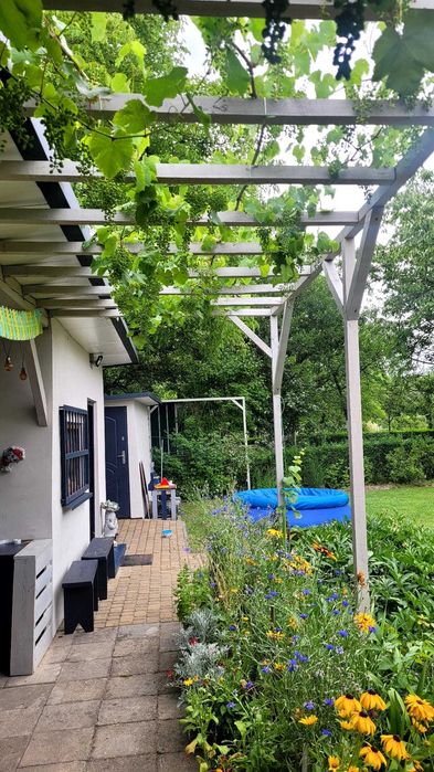 Działka ROD „SŁONECZNE WZGÓRZE” Katowice , Bogucice , ul. Osikowa