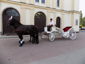 bryczka, kareta, powóz, dorożka do ślubu, wesela- sala okolicznościowa