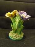Tulipas Multicor