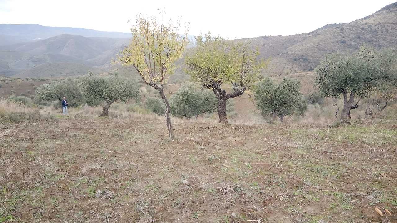 Terreno 15000m2 (1,5h)