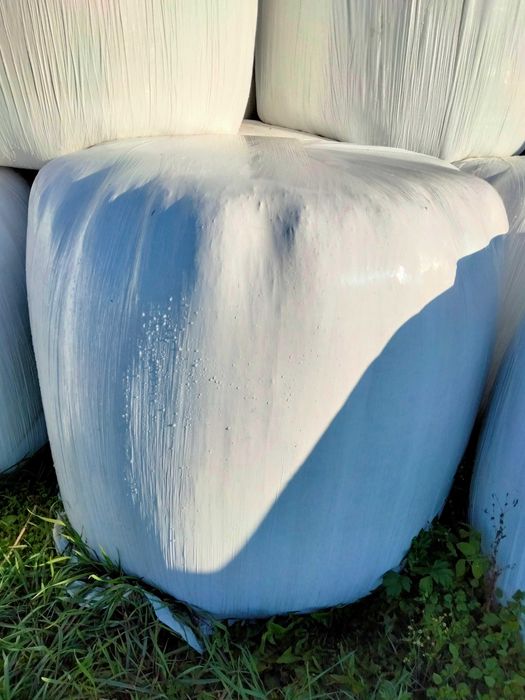 Sprzedam sianokiszonka