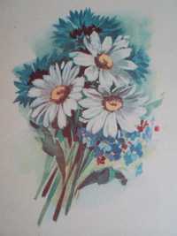 открытка цветы ромашка незабудка