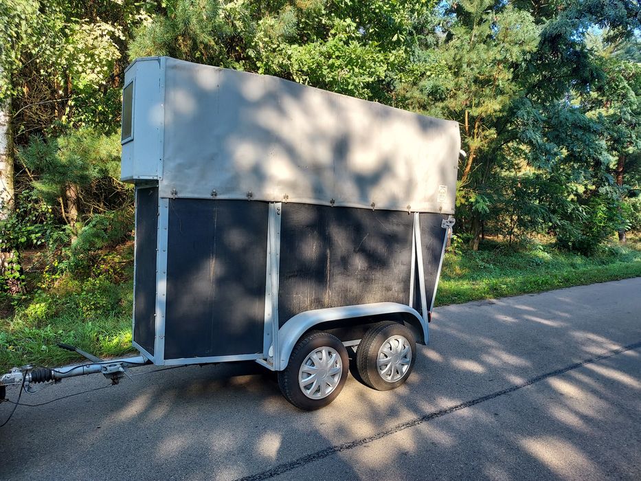 Klacz, ogier zamienię 1200 dmc