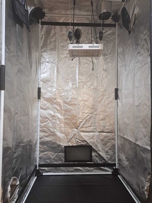 Tenda para cultivo de plantas mais acessórios