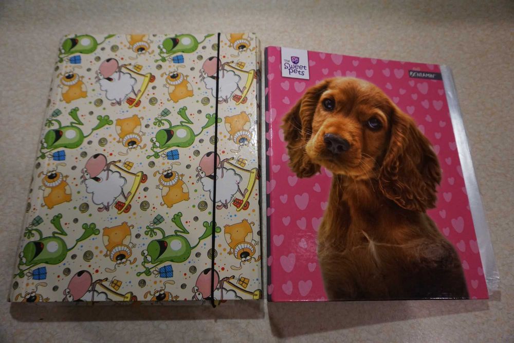 Segregator koszulki Teczka