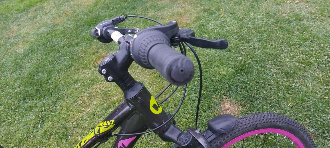 Giant Liv Enchant 1 disc 24"