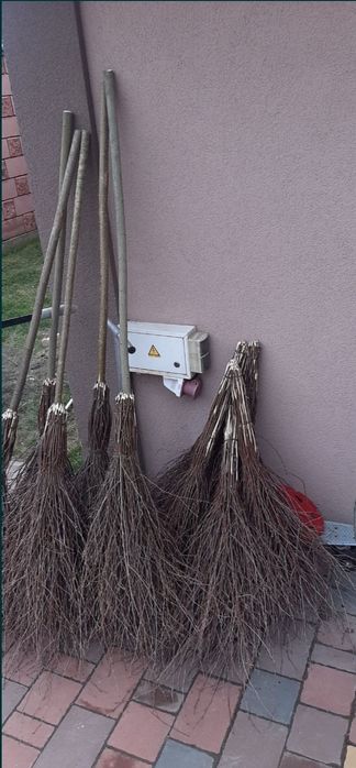 Березові віники,мітли.