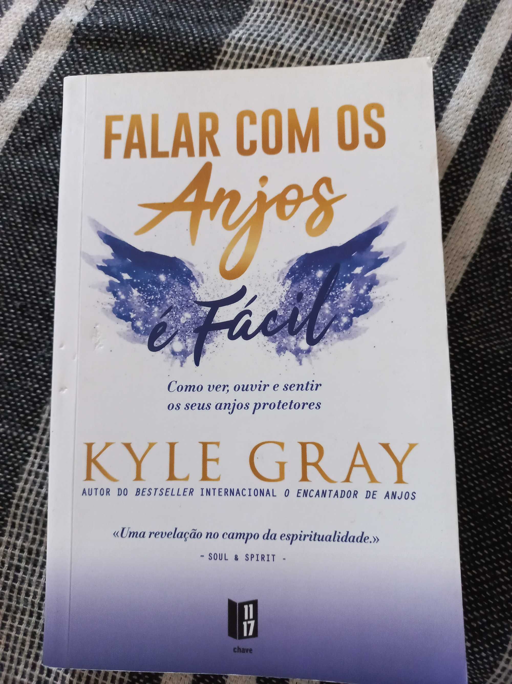 Livro Falar com os Anjos