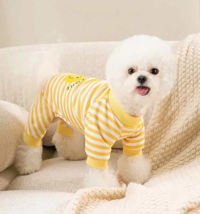 Іграшки та піжама для собак та котів