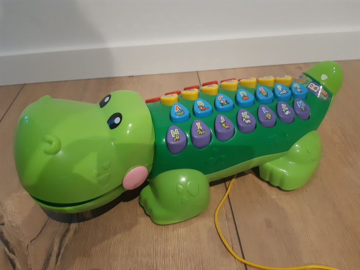 Aligator Edukator nowy