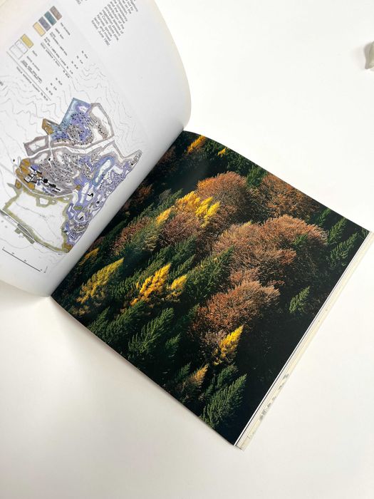 Edoardo Gellner Percepire il paesaggio Living Landscape skira 2004