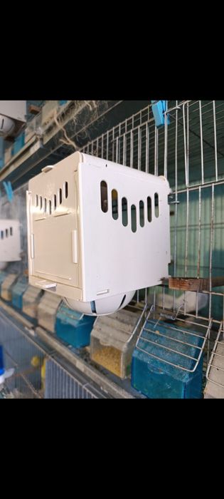 Ninhos 2gr para canários