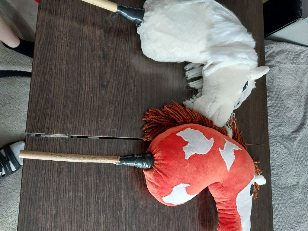 Hobby horse-koń na kiju