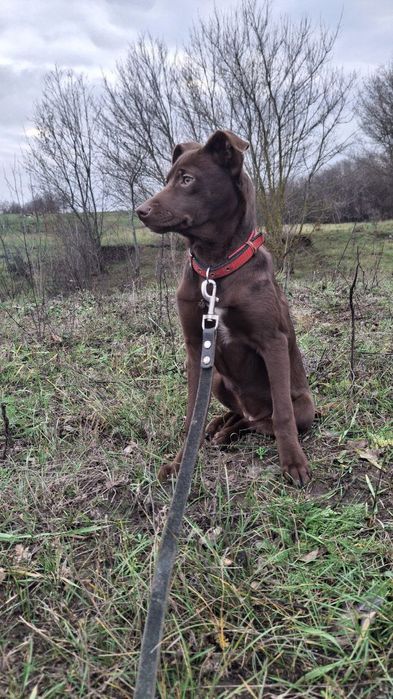 Дуня  шукає родину