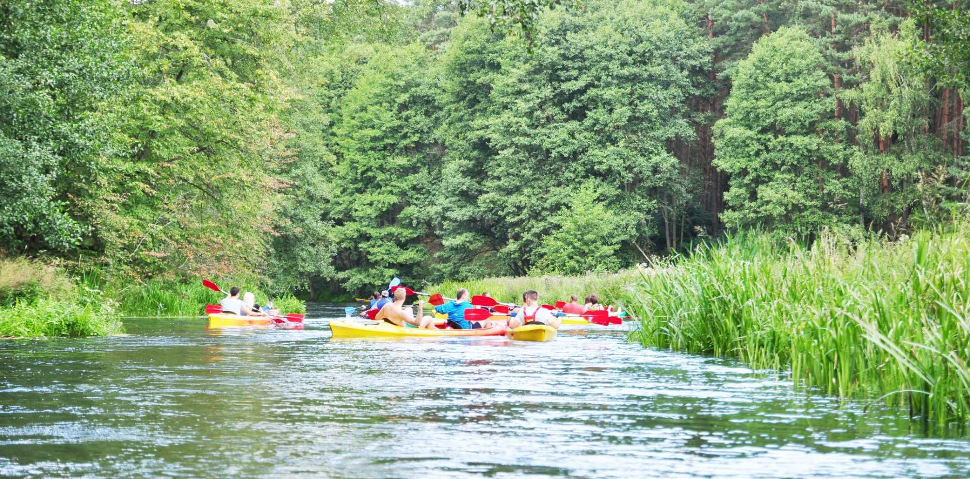 Spływy kajakowe rzeką Wdą