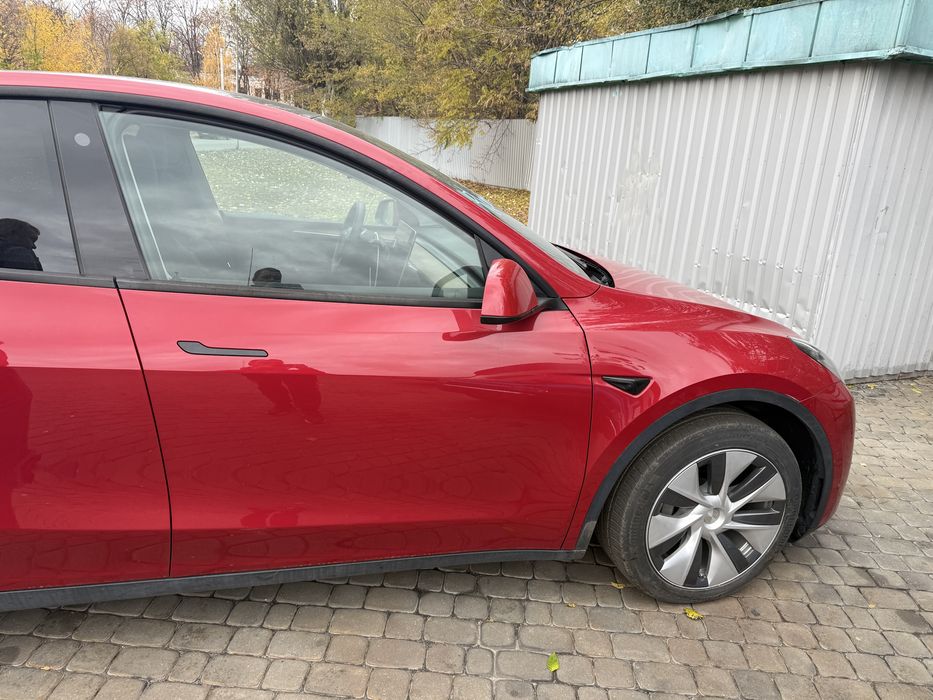 Tesla Model Y Long Range 2022 – розмитнена