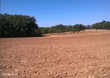 Terreno, Bragança, Vinhais