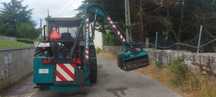 Limpa Bermas Picursa