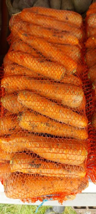 Продам моркву буряк цибулю картоплю капусту
