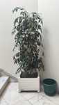 Planta artificial grande com floreira