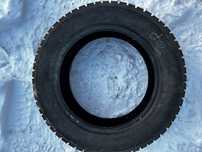 Opona Gold Gum Alp RSI 205/55R16