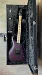 PRS CE 24 Dustie Waring Floyd WB