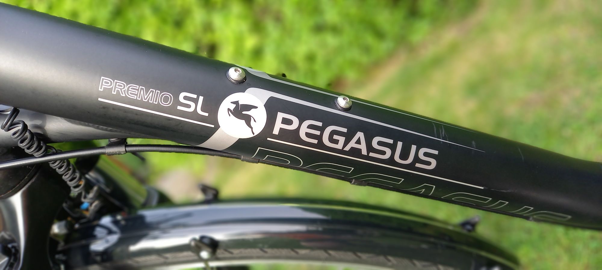 Rower trekkingowy Pegasus Premio koła 28"