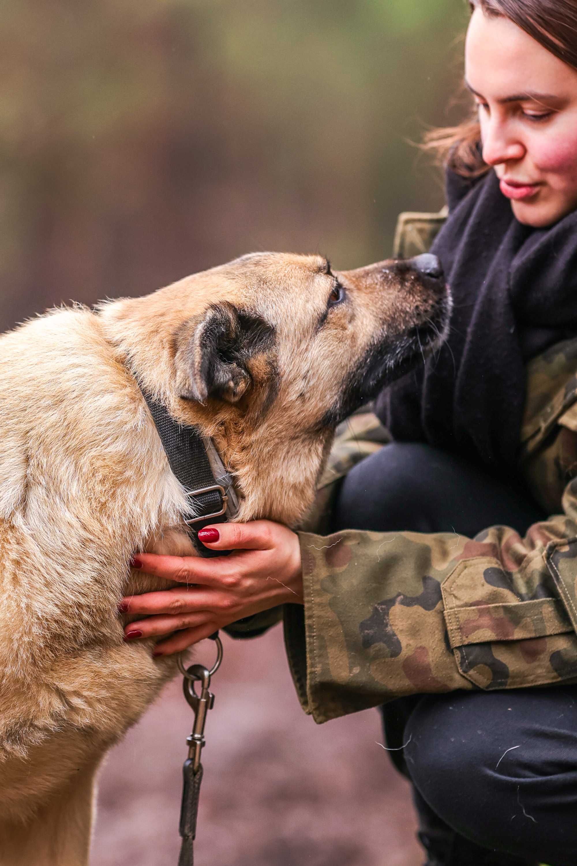 May , cudowny molos do adopcji