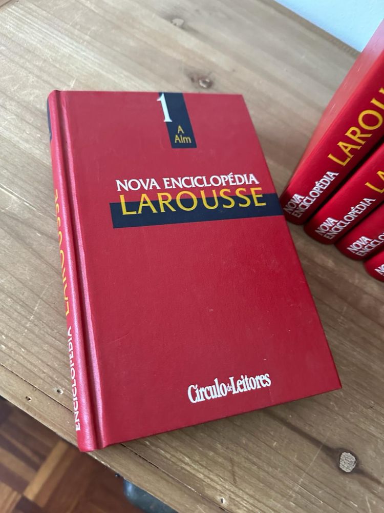 Enciclopedia Larousse 22 livros
