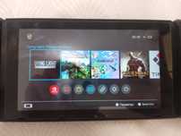 Nintendo switch kefir v2