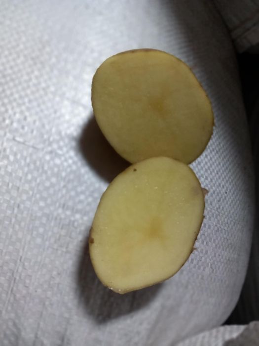 Ziemniaki (Wineta) Warszawa