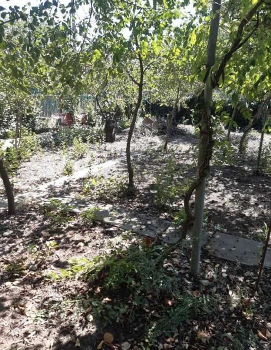 Продається  дачний участок в гарному місці СОГ  Волна