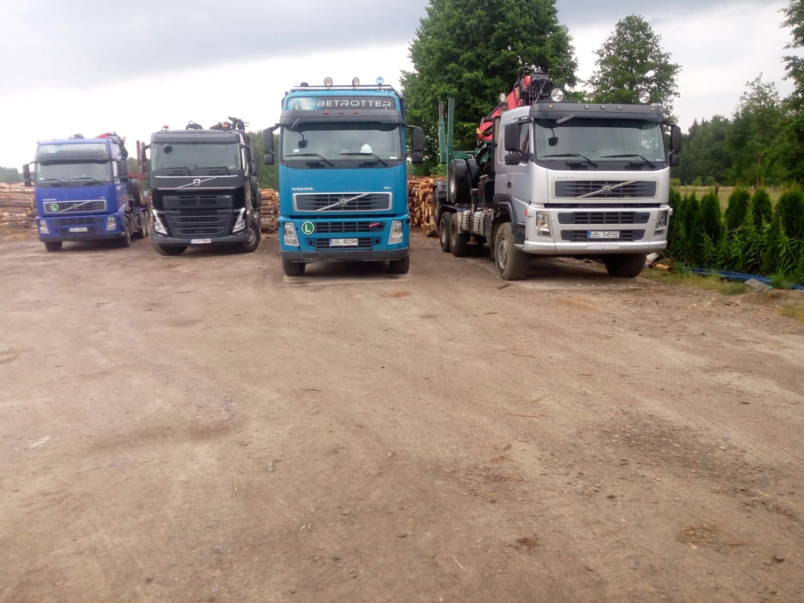 Volvo FM 480 6X6 drewna drzewa dłużycy lasu